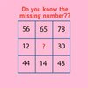1751852491253.jpg