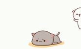 1000197102.gif