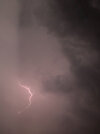 IMG_2180.jpeg