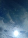 IMG_20250714_193231.jpg