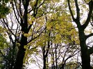 31 October 115.JPG
