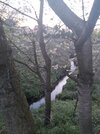 20240419_203247.jpg