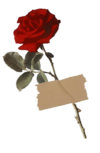 1000186398.png