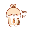 dare-aggie-bunny-dare-bunny.gif