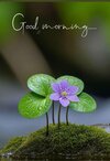 Screenshot_2025-07-17-08-25-35-828_com.pinterest-edit.jpg