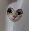IMG_1455.jpeg