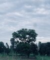 IMG_1973.jpeg
