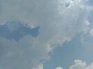 IMG_20250718_140435.jpg