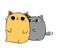 tumblr_0f6ed8b2548880543072ef2f2db9c250_2b25028c_250.gif