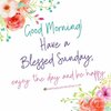 neww57-morning.jpg