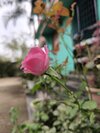 IMG20231208110321.jpg