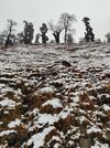 IMG_20211203_143855.jpg