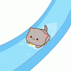 1000200557.gif