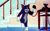 1000347922.gif