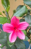 IMG_20250722_200938.jpg