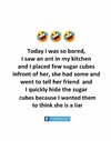 1dd14d346ad17fb008ca55a47c578a2f.jpg