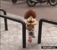 1000106582.gif