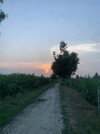 IMG_2350.jpeg