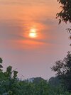 IMG_2352.jpeg
