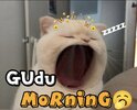 IMG_1468.jpeg