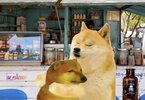 IMG_1471.jpeg