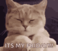1000103311.gif