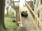 tumblr_mndlaafMBn1s82jnpo1_400.gif