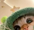IMG_1473.jpeg