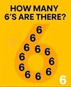 1753376019236.jpg