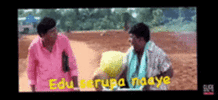 IMG_9996.gif