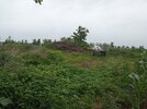 IMG_20250726_124822.jpg