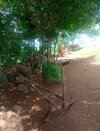 IMG_20250728_082205.jpg