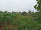 IMG_20250728_082222.jpg