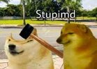 IMG_1480.jpeg