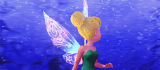 IMG_2993.gif