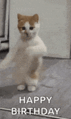 1000060349.gif