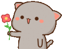 1000202801.gif