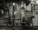 IMG_8729.jpeg