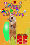 anniversaire-joyeux-anniversaire.gif