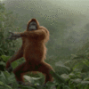 source.gif
