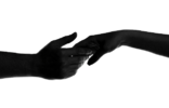 1000203101.png