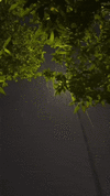 tumblr_d40c1c4b58b65862b25258e41407e855_98bf20c6_500.gif