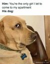 892a0de7ffae44aff4051ebdf39bc56b.jpg