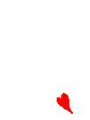1000204244.gif