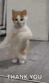 6102.gif