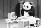 1000204904.gif