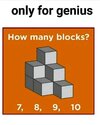 1754492337938.jpg