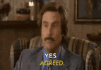 6537.gif