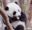 1000015662.gif
