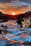 1000206935.gif